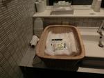 ana_nrt_shower-2.jpg