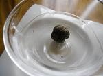 jasmine_tea_conrad_sinrapore-1.jpg