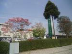 narita_tobu-0.jpg
