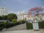 narita_tobu-1.jpg